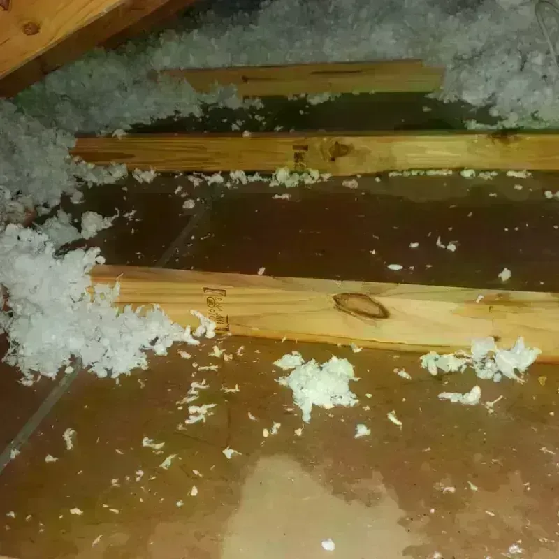 Attic Water Damage in Marysville, MI