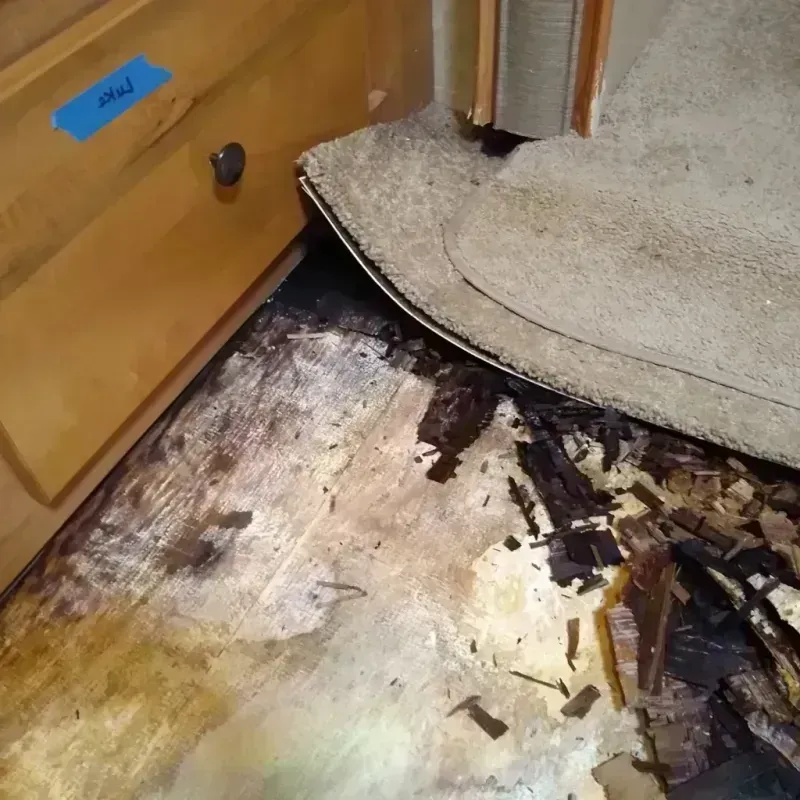 Wood Floor Water Damage in Marysville, MI